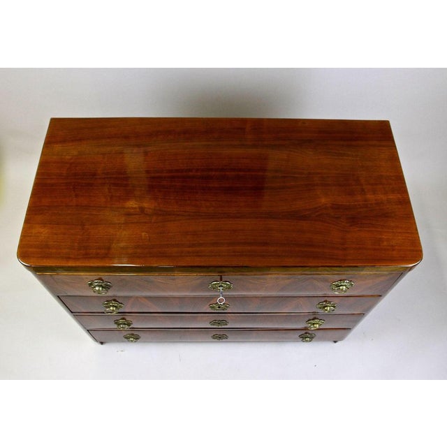 19th Century Biedermeier Chest of Drawers, Austria, 1830s For Sale - Image 4 of 18