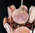 Vintage Italian Murano Chandelier with 24 Pink Disks, 1978 For Sale - Image 12 of 17