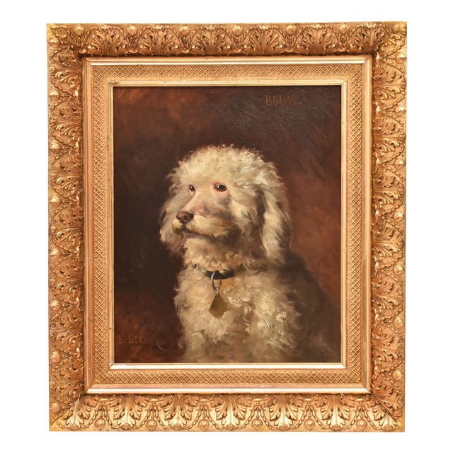 Louis Letsch, Portrait of Poodle, Oil on Canvas, 1896, Framed For Sale