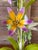 Mid 20th Century Vintage Italian Tole Floral Table Lamp With Hand-Painted Flowers For Sale - Image 5 of 11