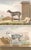 This charming hand-colored 1758 engraving is one of the oldest available prints of a dog. Taken from the 10th volume...