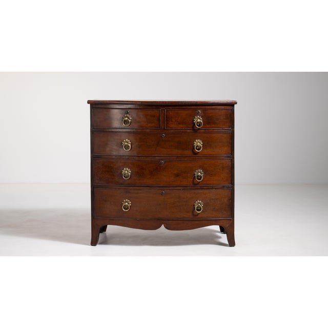 Regency Bow-Front Mahogany Chest of Drawers, Antique, United Kingdom, 19th Century For Sale - Image 10 of 15
