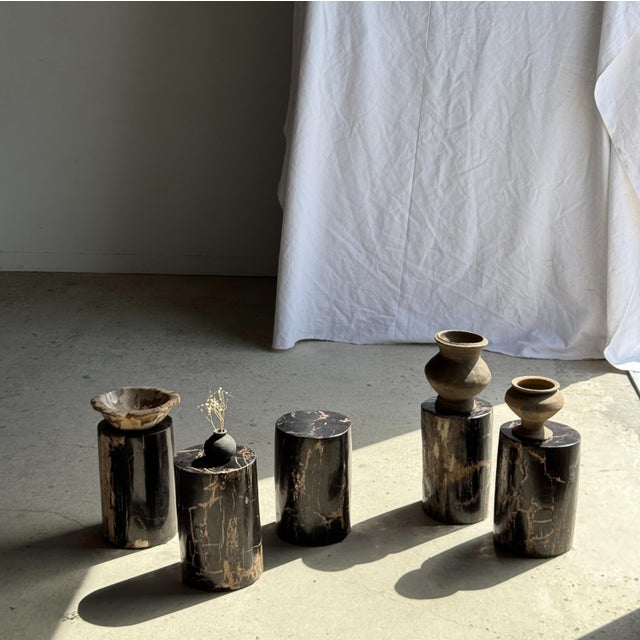Small side table in black petrified wood with beige stripes on the sides. Petrified wood is a fossilized wood (from the...