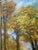 1970s Vintage Impressionist Autumn Landscape Oil on Masonite Board – Framed For Sale - Image 12 of 14