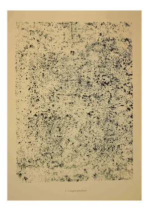 Jean Dubuffet, Powdery Congress, Lithograph, 1959