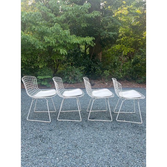 Mid 20th Century A Set of Four Wire Chairs by Harry Bertoia for Knoll International, Circa 1970 For Sale - Image 5 of 18