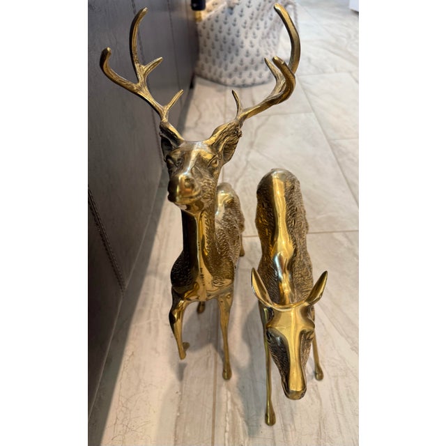 This vintage pair of large spotted solid brass deer statues, featuring a buck and a doe, exudes a classic and timeless...