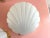 1970s Frosted Glass Scallop Shell Wall Lights - Set of Three For Sale - Image 12 of 18