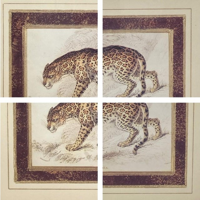Pair: Vintage Jaguar Felis Onca Book Plate Lithographs Framed Art Print Big Cats For Sale - Image 14 of 18