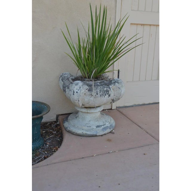 French Provincial 19th Century French Grande Jardinières - a Pair For Sale - Image 3 of 5