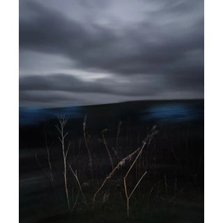 Salisbury Plain 2023 For Sale