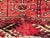 Textile Vintage Distressed Turkmen Bokhara Rug, 1940s For Sale - Image 7 of 18