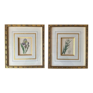 Pair Small Beautifully Framed Antique Botanical Prints Engravings - Taylor Clark Gallery, Baton Rouge For Sale