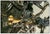 Mid 20th Century Mid 20th Century Nude and Horny, Nicole Taillon For Sale - Image 5 of 6