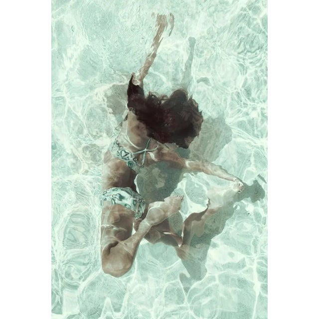 Gaia – Monochromatic Fine Art Photography by Patricia P. Abreu Sm For Sale