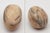 1950s Set of Twelve Assorted Stone Fruits & Specimen Marble Eggs For Sale - Image 11 of 12