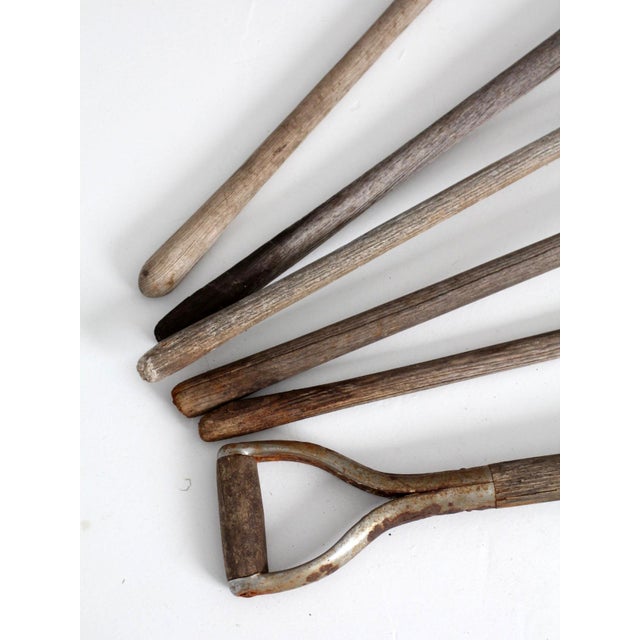 Early 20th Century Primitive Garden Tool Collection For Sale - Image 14 of 16