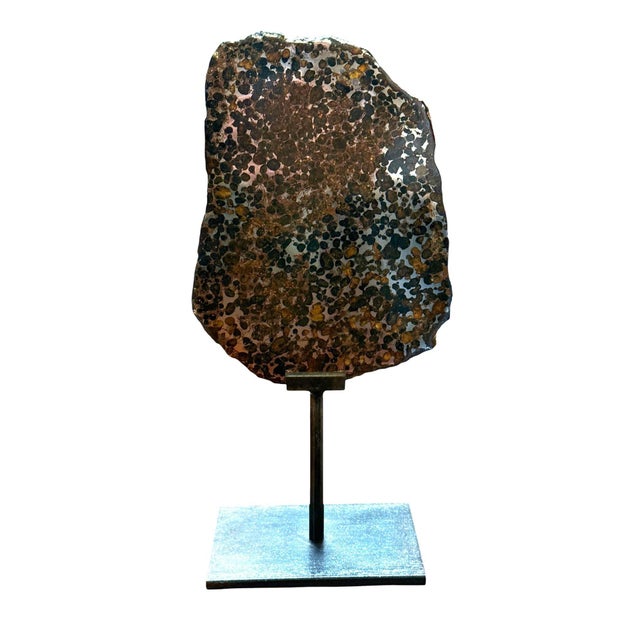 Metal Pallasite Meteorite Slice From the Jericho Strewn Field, Kenya. For Sale - Image 7 of 7