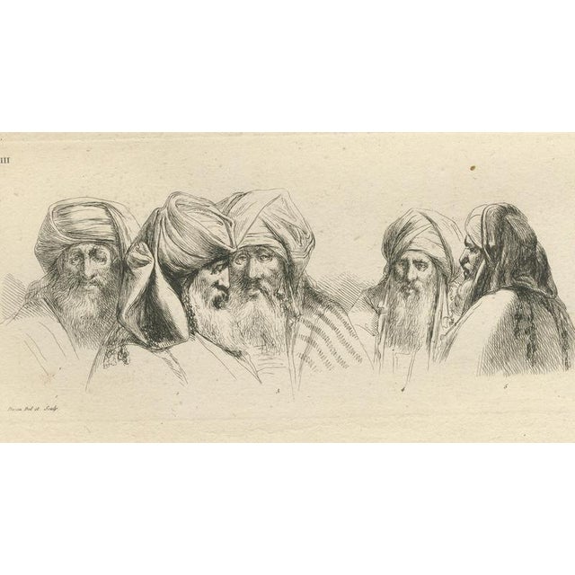 After Dominique Vivant Denon, Comparative Head Studies and Cobra, Egypt, 1802, Engraving on Paper For Sale - Image 4 of 9