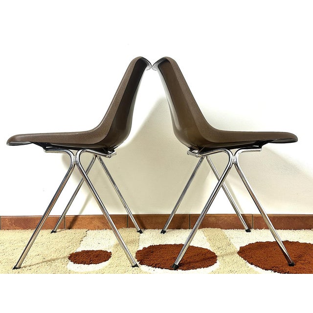 Castelli Polyprop Chairs by Robin Day for Hille, Set of 2 For Sale - Image 4 of 13