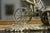 Antique Brass Cyclist Bicycle Clock British United Clock Co Victorian Working For Sale - Image 9 of 14