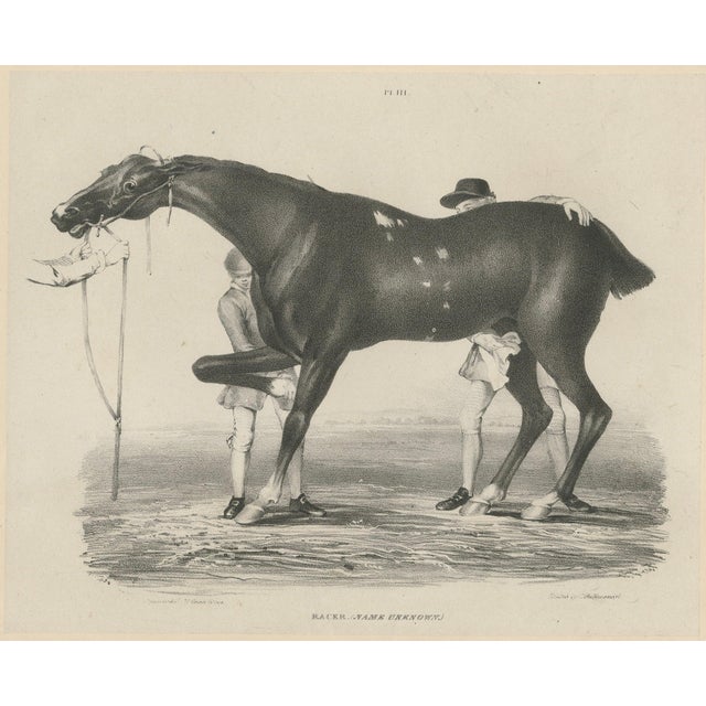 After Chalon, Racehorse Training Scene, Lithograph, 1840 For Sale