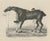 After Chalon, Racehorse Training Scene, Lithograph, 1840 For Sale