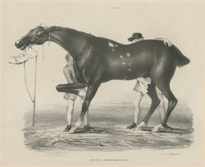 After Chalon, Racehorse Training Scene, Lithograph, 1840