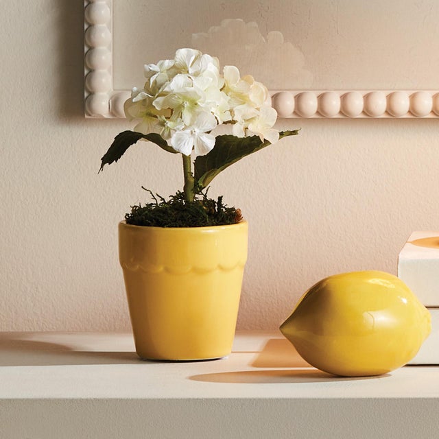 Interior designers are always on the hunt for that tried & true accent to enhance their wellappointed space. This sweet...