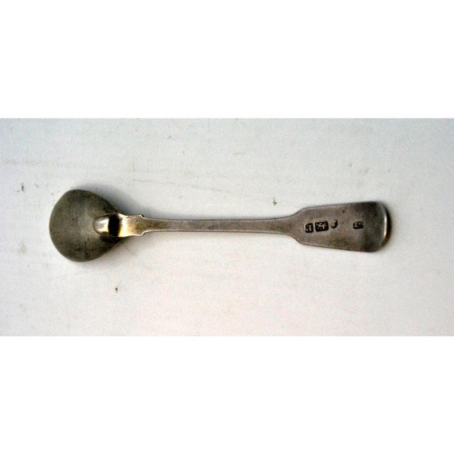 Plain Silver Sugar Spoon For Sale - Image 4 of 5