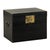 Vintage Chinese Black Lacquered Trunk with Brass Hardware and Side Handles For Sale - Image 14 of 18
