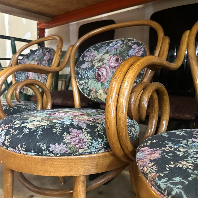 1970s Collection of Floral Cushioned Bentwood Looped Arms Dining Chairs- Set of 4 For Sale In Atlanta - Image 6 of 11