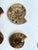 Brown Set of Six Split and Polished Ammonite Fossils For Sale - Image 8 of 12