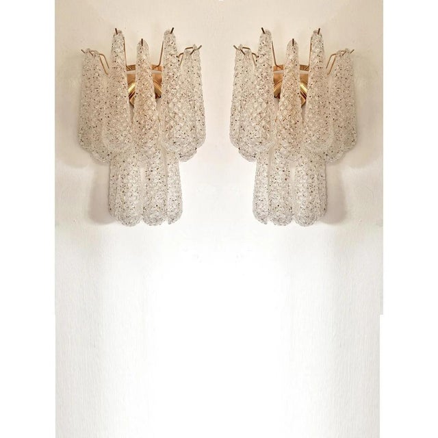 Glass Conchiglie Gold Murano Glass Wall Sconces by Simoeng, Set of 2 For Sale - Image 7 of 10