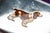 Metal Exquisite Thomae Co. Sterling Silver Springer Spaniel Dog Hand Painted Enamel Antique Art Deco Cigarette Card Case For Sale - Image 7 of 14