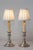 French 19th Century French Lamps - a Pair For Sale - Image 3 of 8