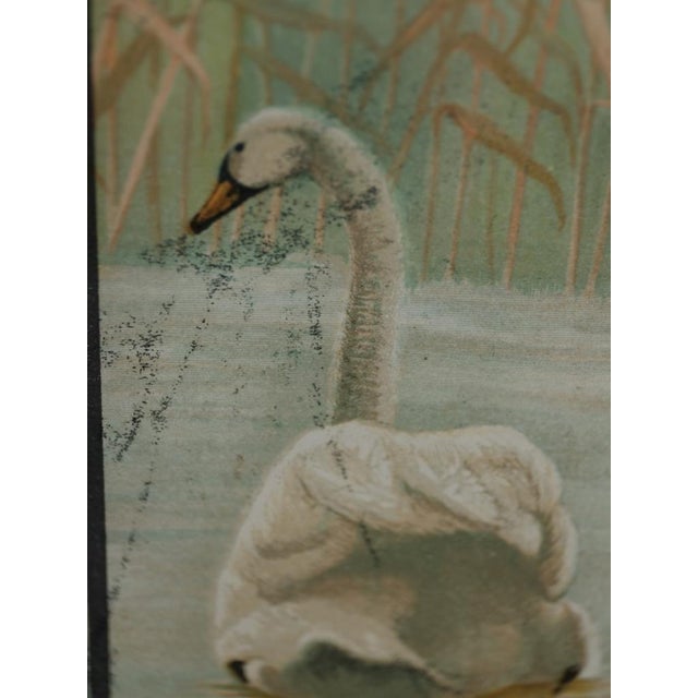 Emrik & Binger, The Avian Collection, 1880, Chromolithograph For Sale - Image 9 of 13