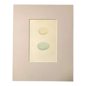 Antique Egg Print, Rev. F O Morris's Natural History, 1867, Golden-Eye And Smew
