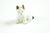 Figurative Mid 20th Century Porcelain European Dogs Figurines - A Pair For Sale - Image 3 of 4