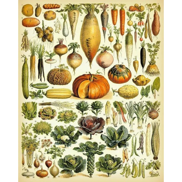 Wood Antique 'Vegetable' Wall Hanging For Sale - Image 7 of 9