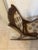 Vintage Victorian Carved Walnut and Upholstered Folding Rocking Chair For Sale - Image 4 of 12