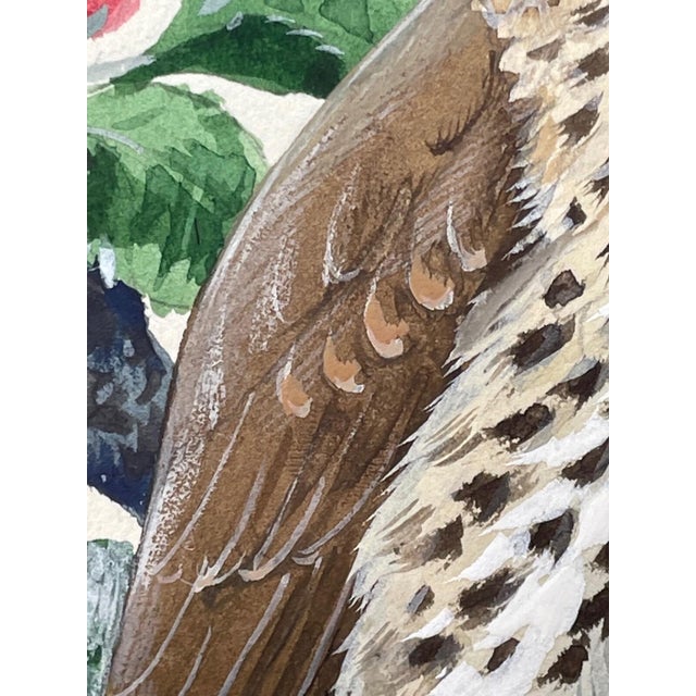 1950s Song Thrush Watercolour by Charles F. Tunnicliffe For Sale - Image 13 of 16