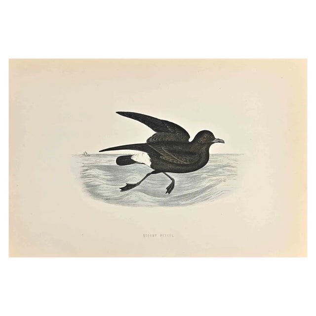 Alexander Francis Lydon, Stormy Petrel, Woodcut Print, 1870 For Sale