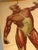 Vintage School Board Muscle of Man, Germany, 1950s For Sale - Image 4 of 6