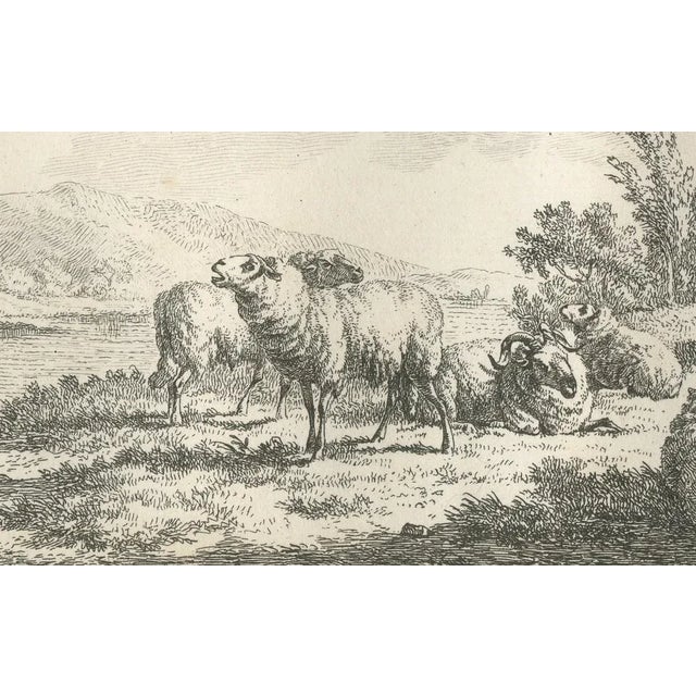 F. Faber, Shepherd Resting Against a Fence, 18th Century, Etching For Sale - Image 4 of 6