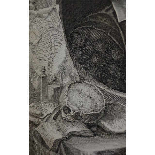 Thomas Willis, Md, 17th C. Pioneer of Neurology & Psychiatry: 18th C. Portrait, by George Vertue, 1742 For Sale In San Francisco - Image 6 of 6