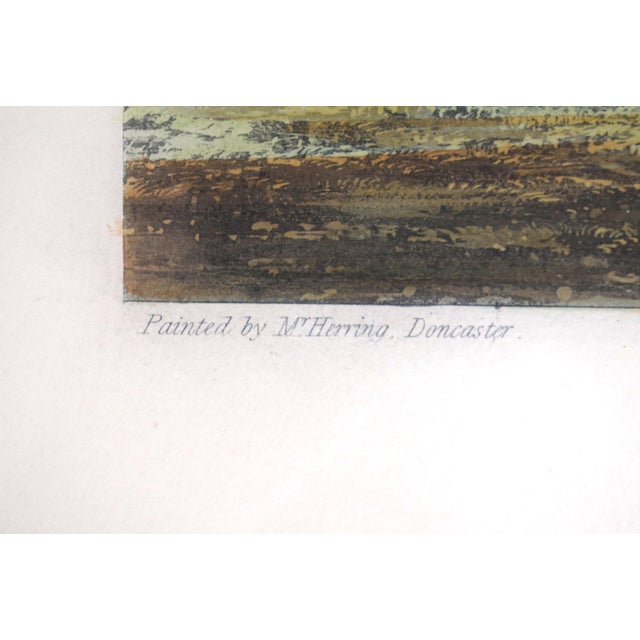 Barefoot, the Winner of the Great St. Leger at Doncaster 1823 Aquatint by John Frederick Herring SNR For Sale - Image 4 of 7