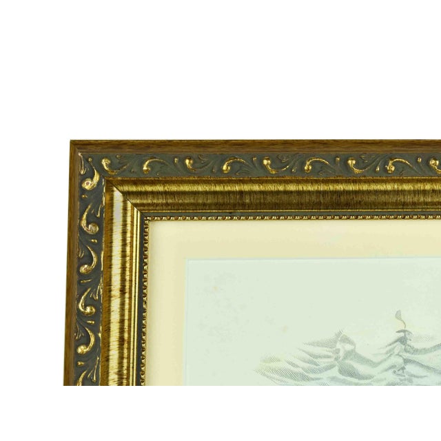 Early 20th Century Victorian Fashion Plate European Periodical Print Framed Reproduction For Sale - Image 9 of 10