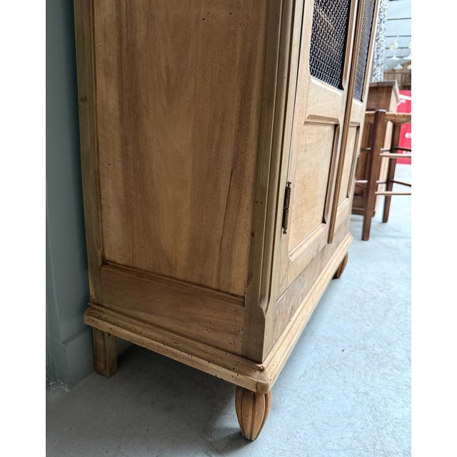 Antique Library with Wire Mesh Doors, 1890s For Sale - Image 4 of 16