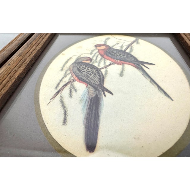 Vintage Mid Century Italian Small Wood Framed Bird Prints, a Pair For Sale - Image 9 of 11